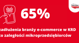 Zadłużenie e-sklepów wzrosło o 1/5