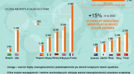 Po dwóch latach spadku, globalna liczba niewypłacalności wzrośnie w 2022 r.