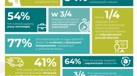Cyfryzacja i transformacja organizacyjna – wyniki badania krajowych producentów