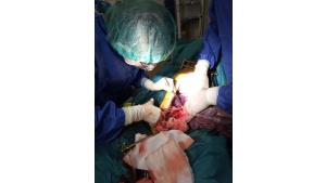 Prof. Maciej Kosieradzki o polskich pracach badawczych w transplantologii Biuro prasowe
