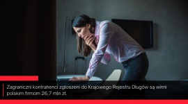 Firmy z Litwy, Niemiec i Włoch mają największe długi wobec polskich firm