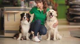 Maxi Zoo z wyróżnieniem Friendly Workplace 2024
