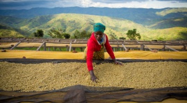 #Stronglikecoffee, czyli Starbucks opowiada o sile kobiet