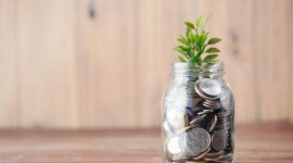 Ekologia i zrównoważony rozwój jako długoterminowa strategia biznesowa