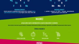Nowość od Nałęczowianki: NAŁ+ – źródło magnezu, cynku i potasu