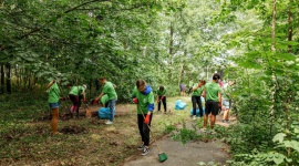Dzięki wolontariuszom z Żabki park przy szpitalu w Poznaniu odzyskał dawny urok