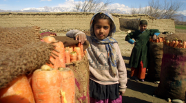 180 dni talibów – największe wyzwania stojące przed Afganistanem
