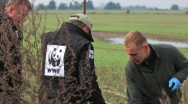 Lidl i WWF odtwarzają krajobraz rolniczy w Polsce Biuro prasowe