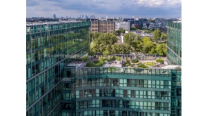 Nowe umowy i przedłużenia najmu w New City Biuro prasowe
