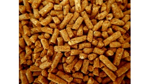 COVID motorem rozwoju i motywacją do doskonalenia jakości w firmach produkującyc