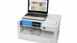 Raport IDC MarketScape. HP liderem wśród firm technologicznych
