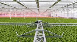 Green Holding przeznacza 7 milionów złotych na instalację fotowoltaiczną