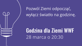 Jet Line i MyLED dołączają do akcji Godzina dla Ziemi WWF