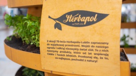 Roślinna Instalacja Sferyczna w Lublinie na 75-lecie Herbapolu-Lublin