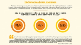83 proc. Polaków uważa, że OZE mogą zwiększyć bezpieczeństwo energetyczne kraju