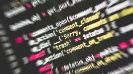 Tsunami DDoS dotyka wszystkie firmy. Jak zabezpieczyć sieć IT w organizacji?