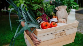 Pora na Pola z kolejną emisją akcji na Beesfundzie