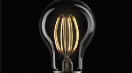 Pierwsza edycja Targów Wewnętrznych Online firmy LEDIN dla branży oświetleniowej