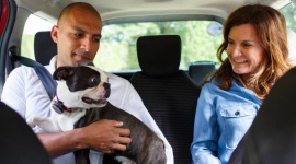 Uber przyjazny zwierzętom - Uber Pets Biuro prasowe
