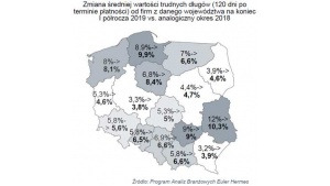 Należności polskich przedsiębiorstw po I połowie 2019 roku Biuro prasowe