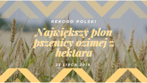 PROCAM Polska Sp. z o.o. idzie na Rekord Polski w plonie pszenicy ozimej