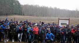 7 tysięcy sosen posadzili wolontariusze Castorama