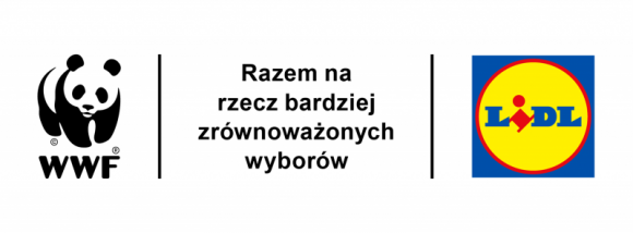 Biuro prasowe