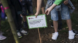 Nowe Bielawy zazieleniły się. Pomogli toruńscy uczniowie