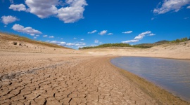 Bluecloud Interactive z autorskim projektem dla Koalicji Klimatycznej.